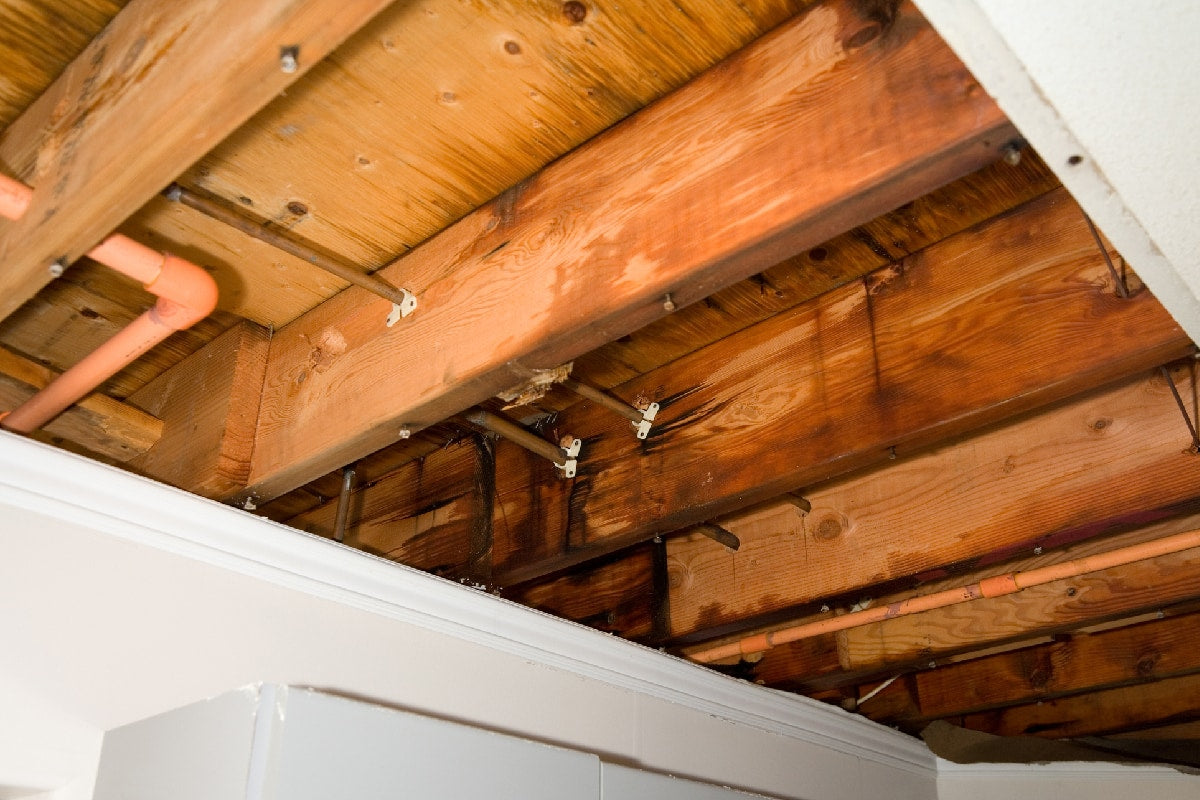 The Chilling Consequences of Frozen Pipes
