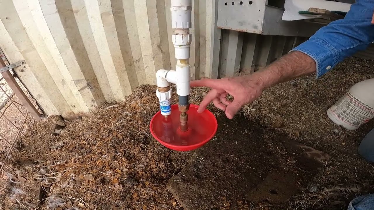How to Keep Chickens' Water from Freezing in the Winter